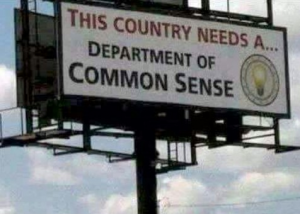 This country needs a Department of Common Sense