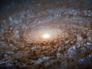 This new image of the spiral galaxy NGC 3521 from the NASA/ESA Hubble Space Telescope is not out of focus. Instead, the galaxy itself has a soft, woolly appearance as it a member of a class of galaxies known as flocculent spirals. Like other flocculent galaxies, NGC 3521 lacks the clearly defined, arcing structure to its spiral arms that shows up in galaxies such as Messier 101, which are called grand design spirals. In flocculent spirals, fluffy patches of stars and dust show up here and there throughout their discs. Sometimes the tufts of stars are arranged in a generally spiralling form, as with NGC 3521, but illuminated star-filled regions can also appear as short or discontinuous spiral arms. About 30 percent of galaxies share NGC 3521's patchiness, while approximately 10 percent have their star-forming regions wound into grand design spirals. NGC 3521 is located almost 40 million light-years away in the constellation of Leo (The Lion). The British astronomer William Herschel discovered the object in 1784. Through backyard telescopes, NGC 3521 can have a glowing, rounded appearance, giving rise to its nickname, the Bubble Galaxy.