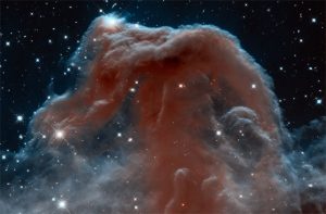 Is there an elephant in this nebula?